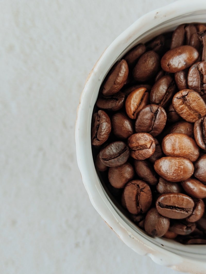 Granos de Café Trevigiano 83+ Puntos